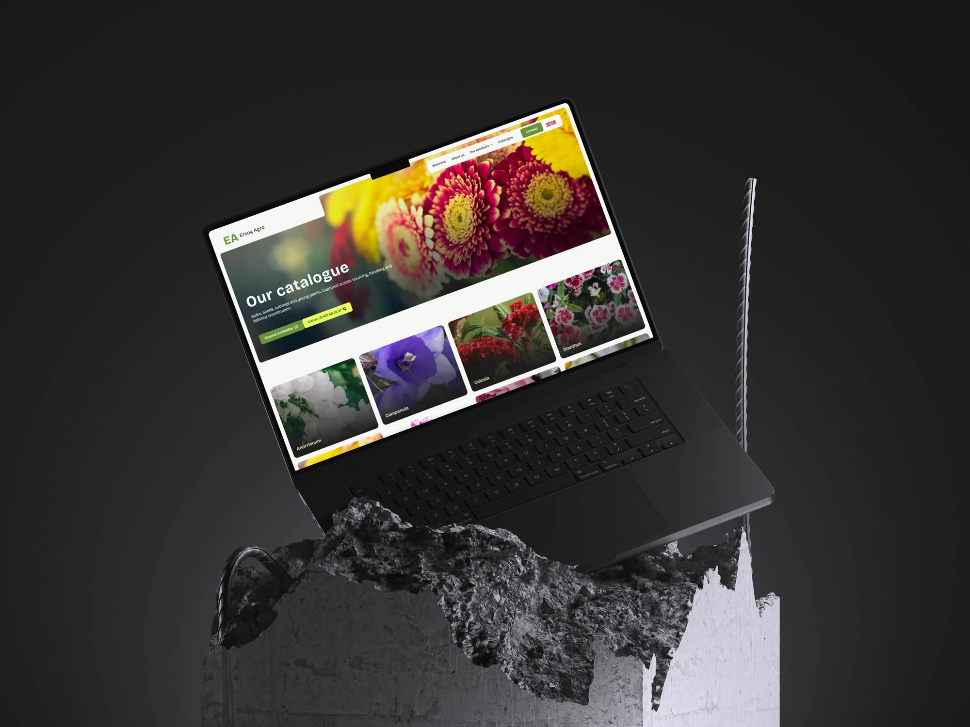 Laptop met de Ersoy Agro-bloemencatalogus op een betonnen zuil.